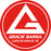 Logo Gracie Barra